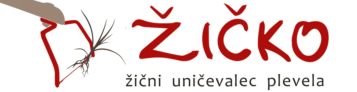 Žičko