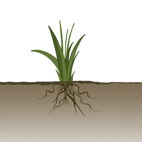 Spustite žico pod površino