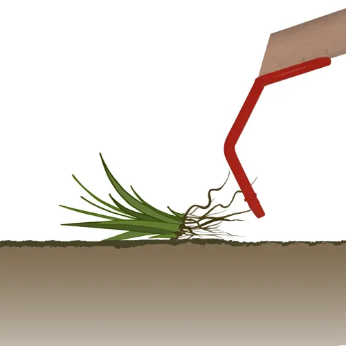 Plevel odstranite brez kemije